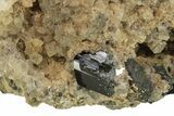 Octahedral Sphalerite and Epidote on Fluorite - Peru #257295-3